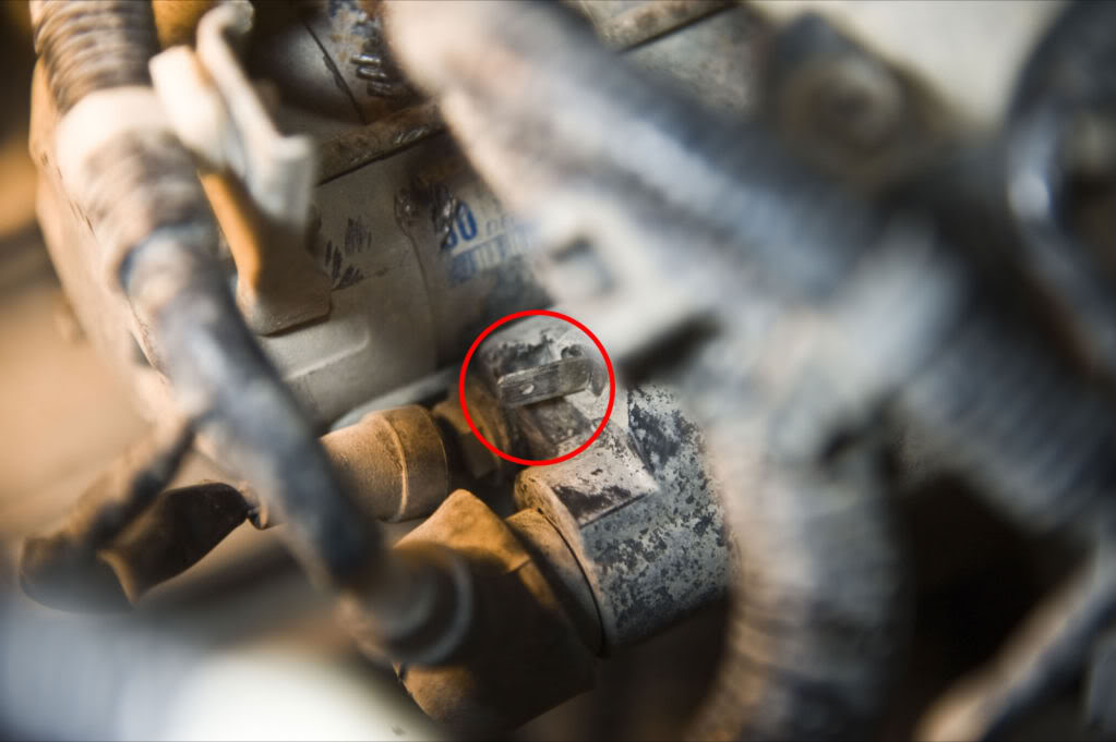 Name:  _DSC2848.jpg
Views: 338
Size:  63.2 KB