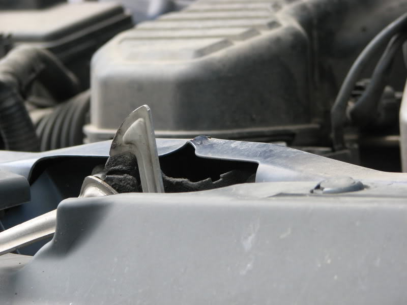 Name:  IMG_0114.jpg
Views: 125
Size:  42.2 KB