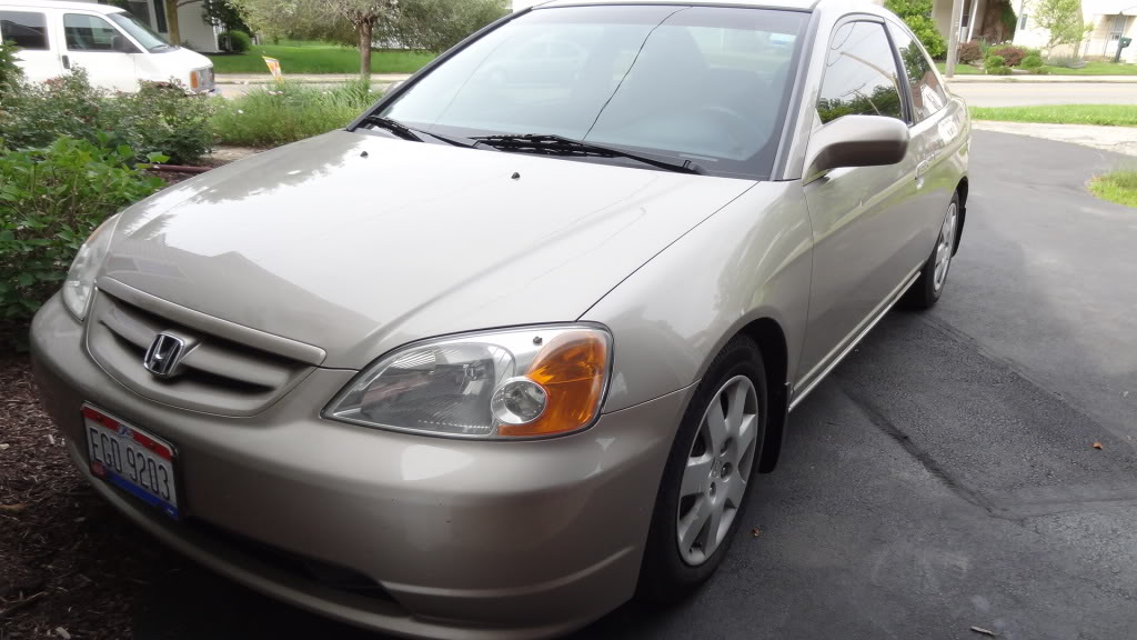 Name:  DSC00161.jpg
Views: 12
Size:  100.3 KB