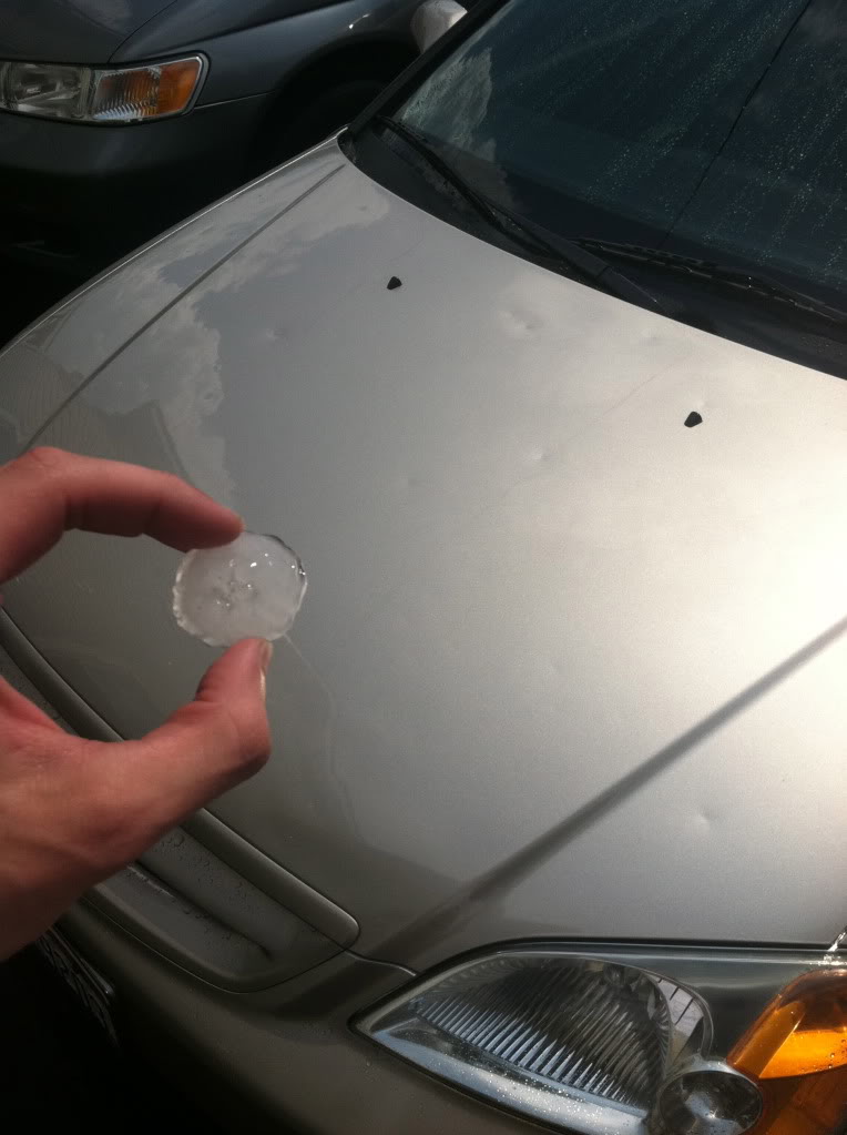 Name:  IMG_0227.jpg
Views: 10
Size:  75.7 KB