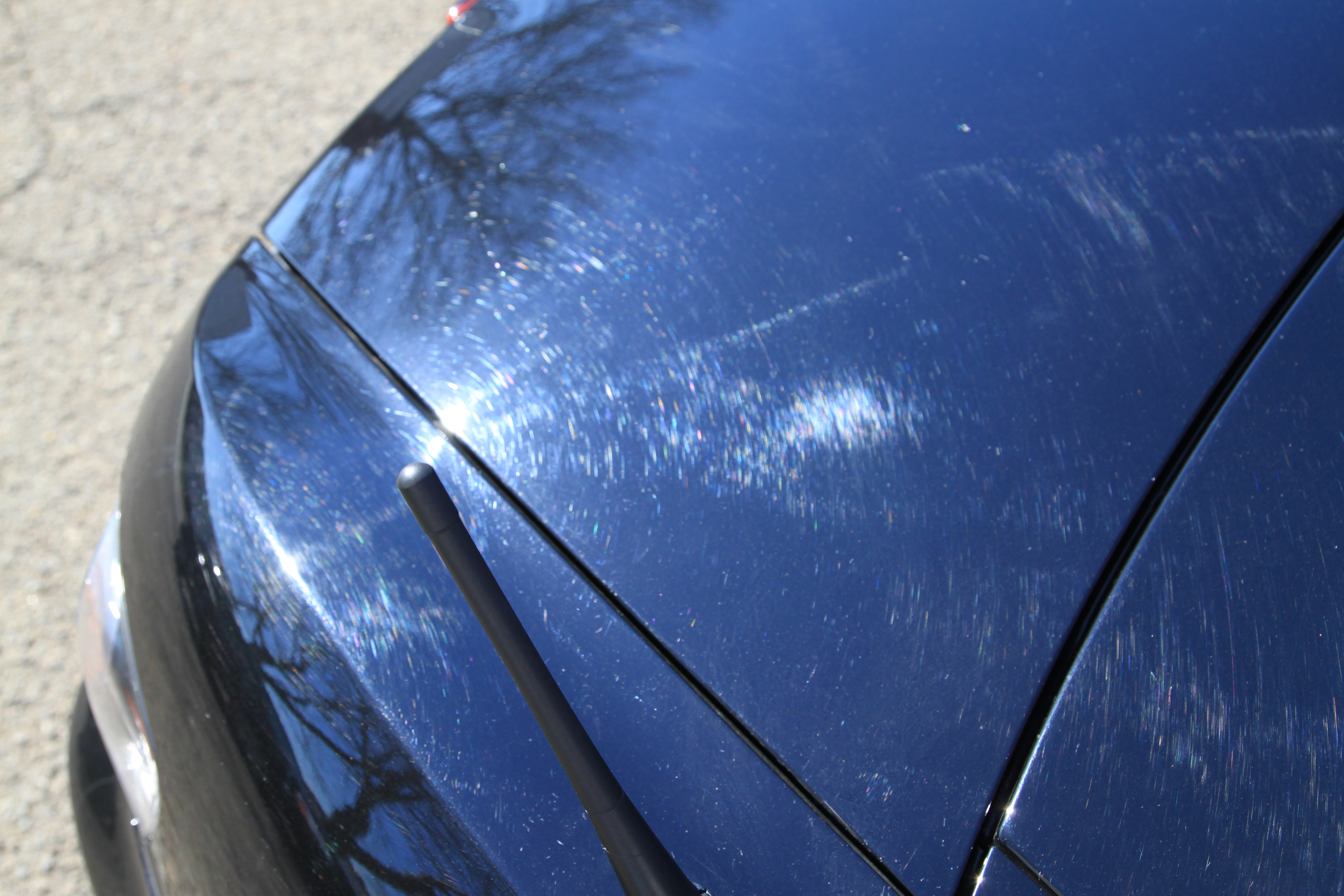 Name:  IMG_9765.jpg
Views: 70
Size:  5.17 MB