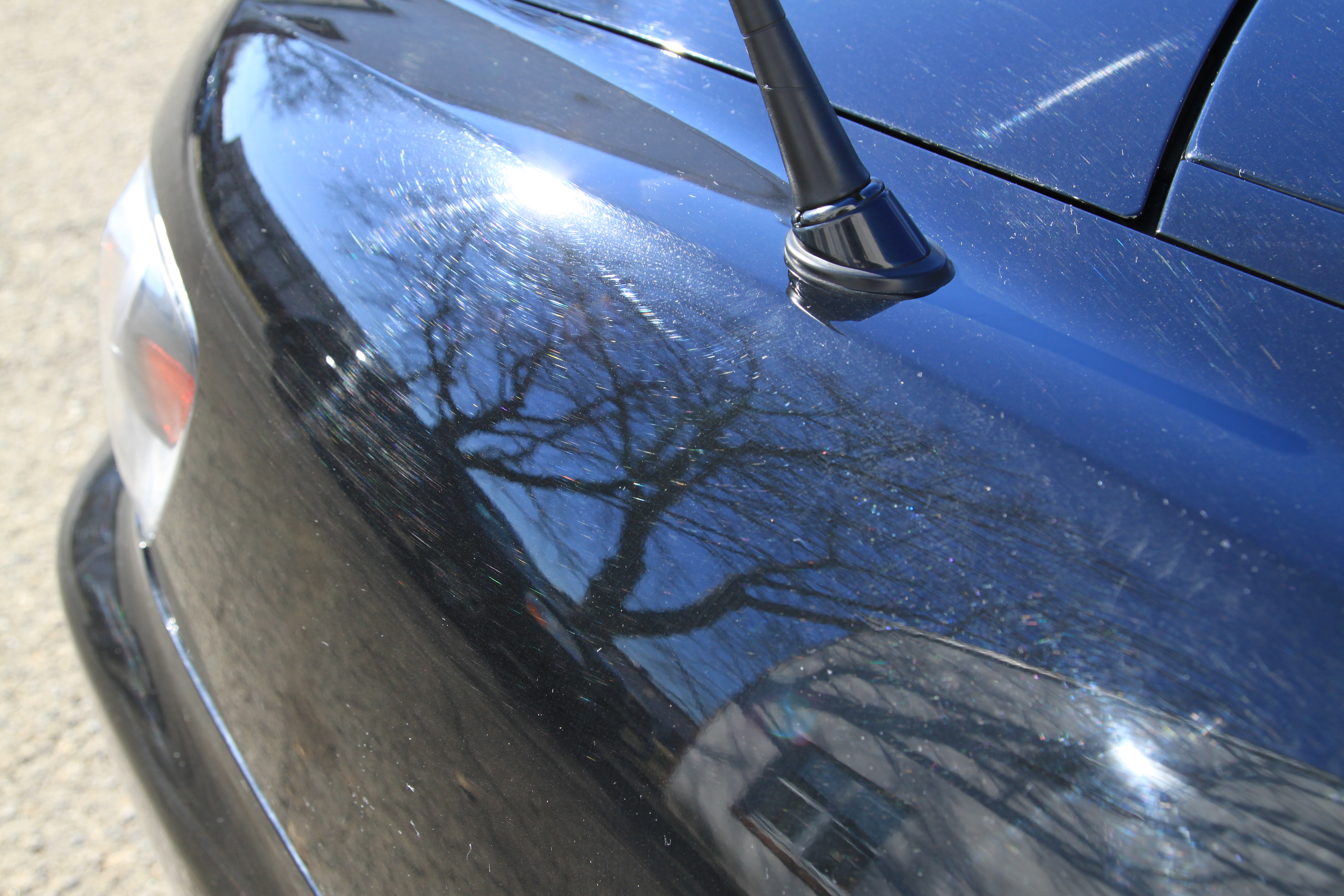 Name:  IMG_9767.jpg
Views: 129
Size:  5.65 MB