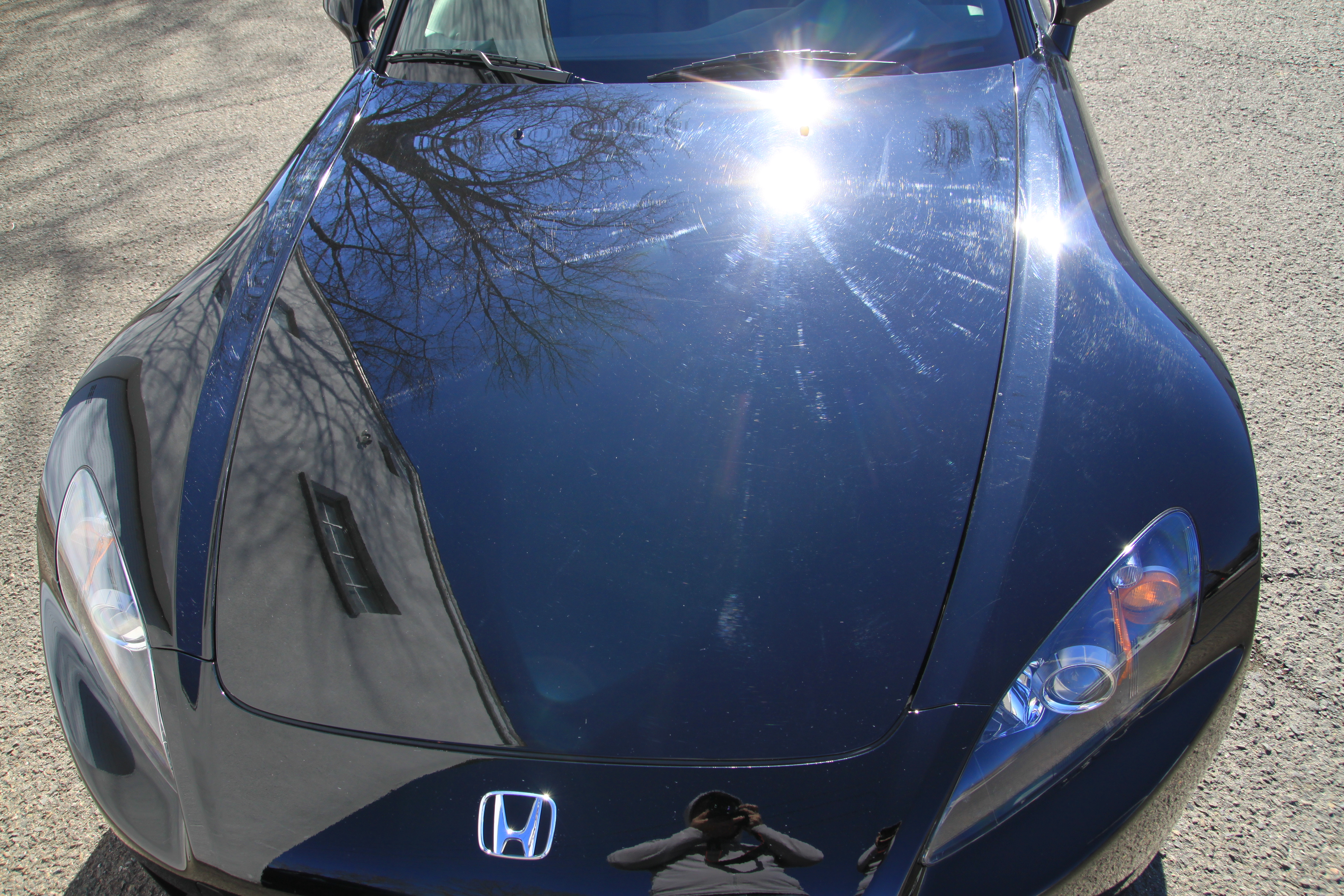 Name:  IMG_9768.jpg
Views: 173
Size:  7.39 MB