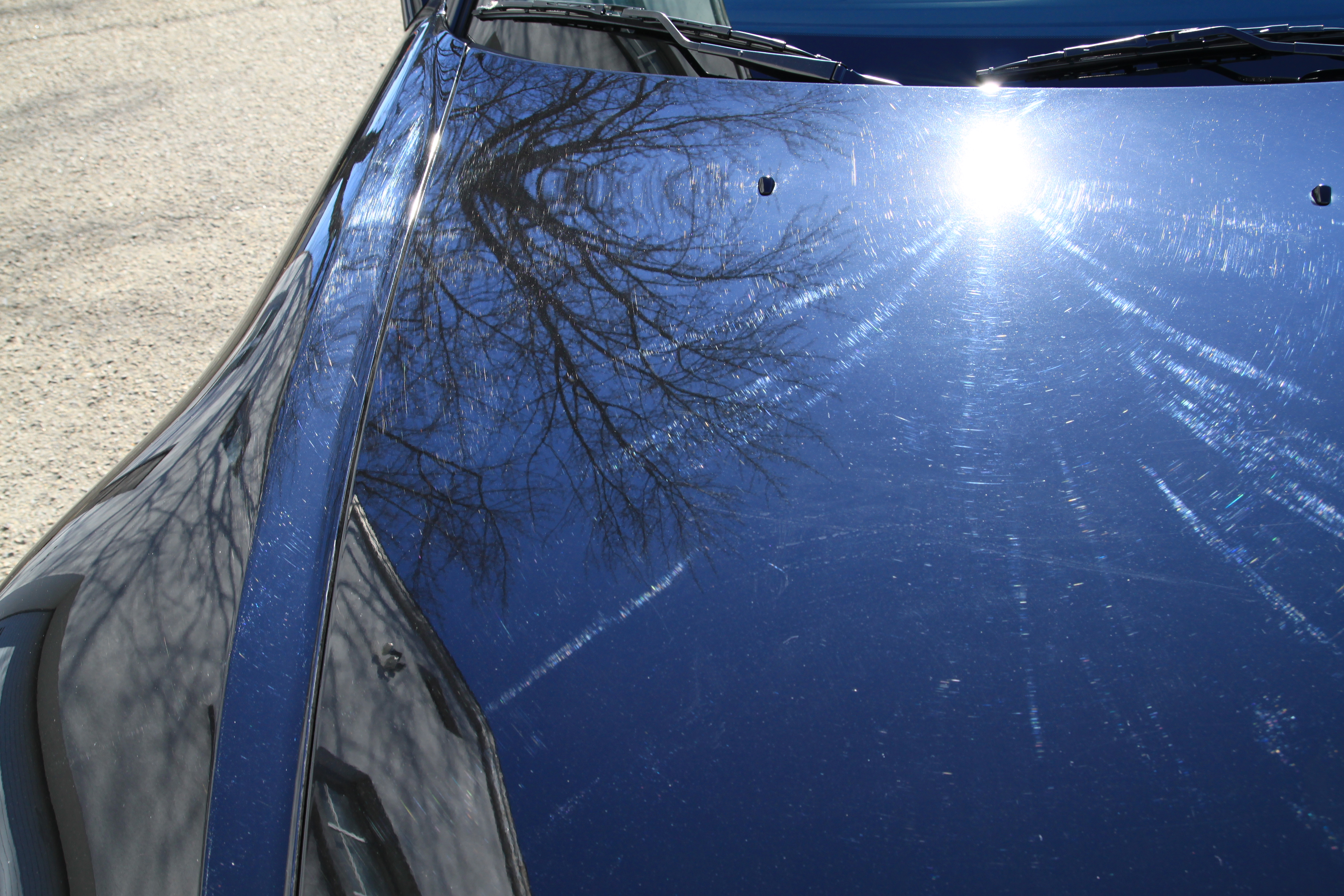 Name:  IMG_9771.jpg
Views: 138
Size:  6.57 MB