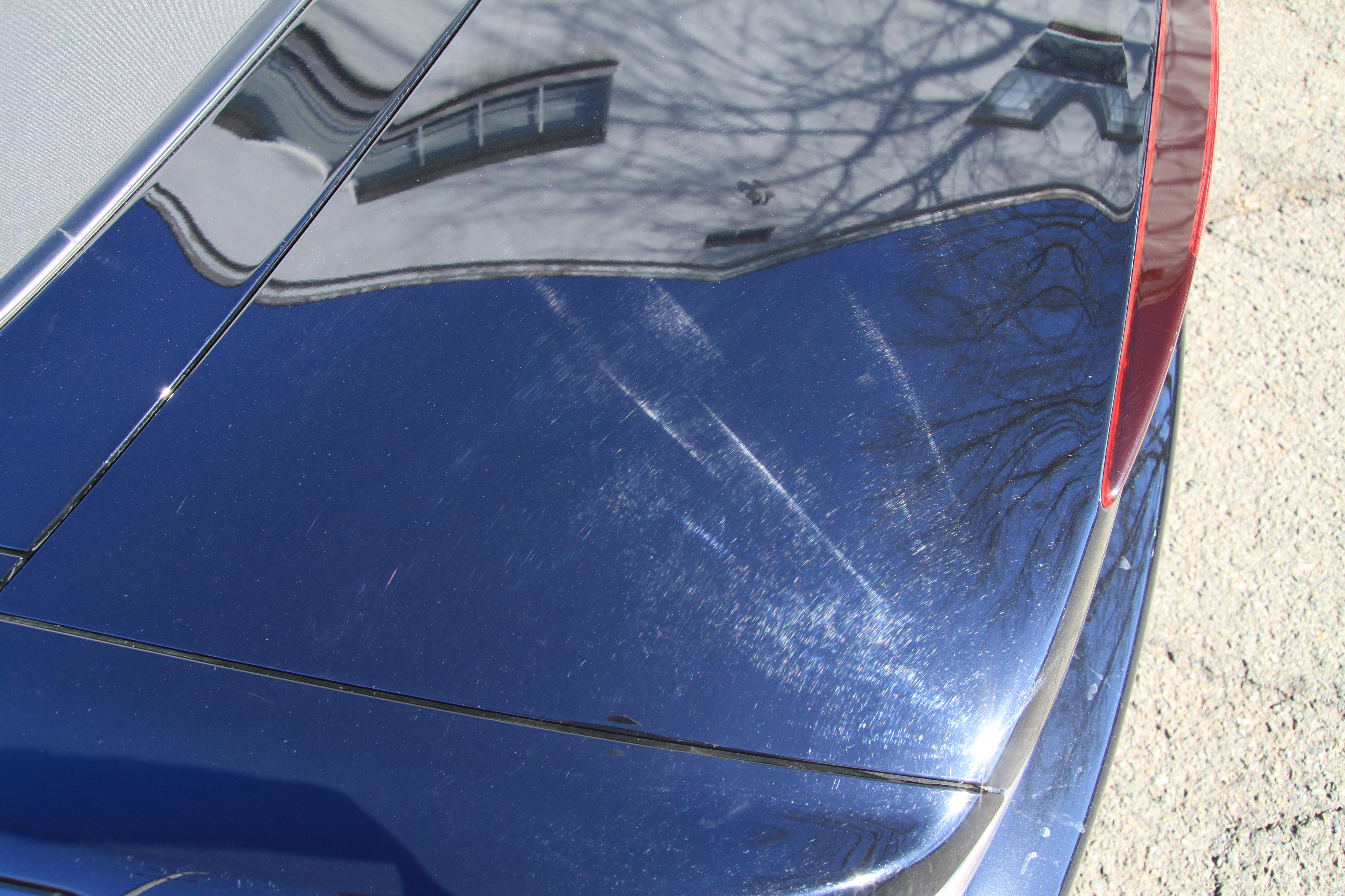 Name:  IMG_9776.jpg
Views: 105
Size:  6.57 MB