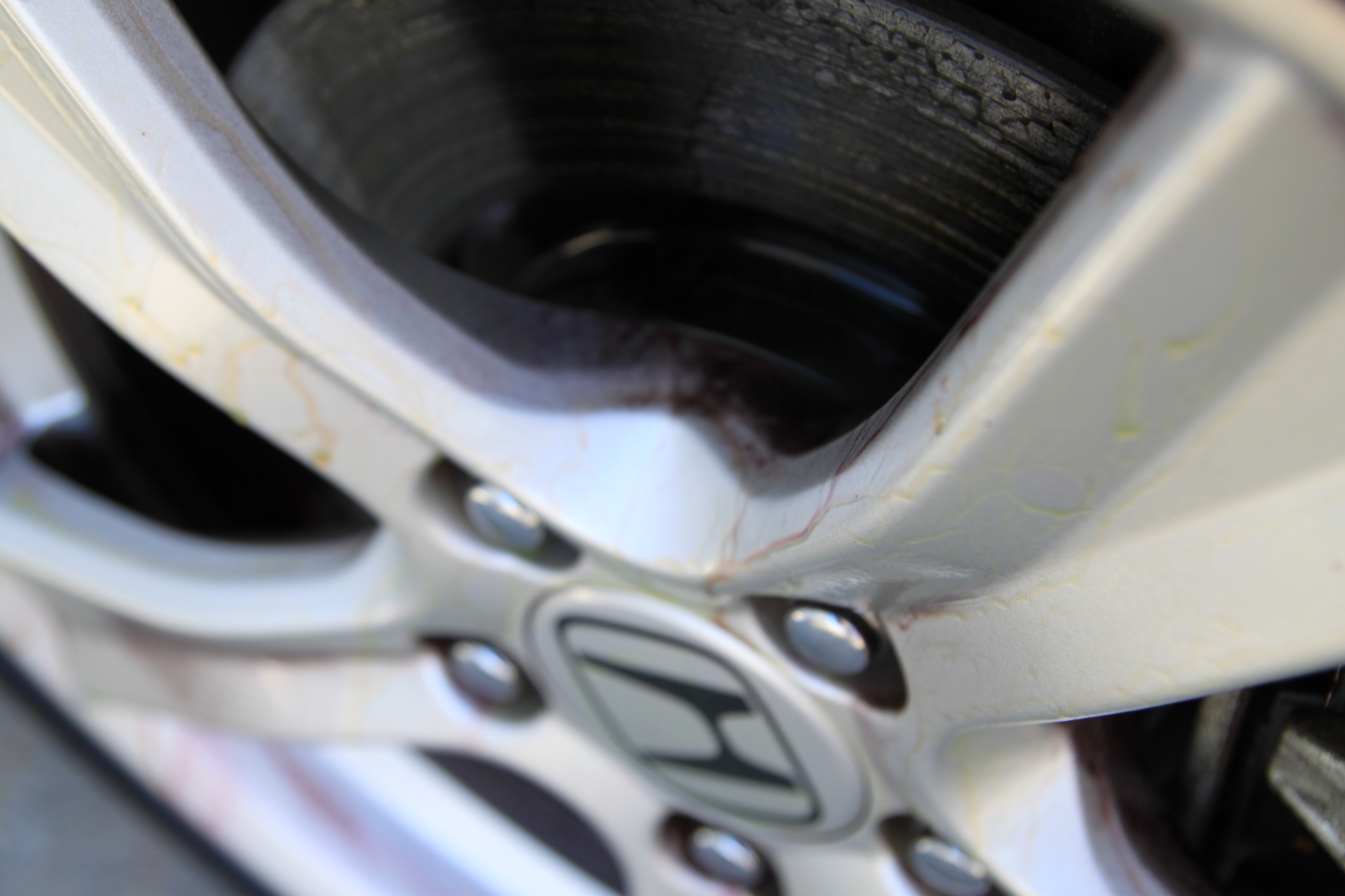 Name:  IMG_9782.jpg
Views: 148
Size:  3.81 MB