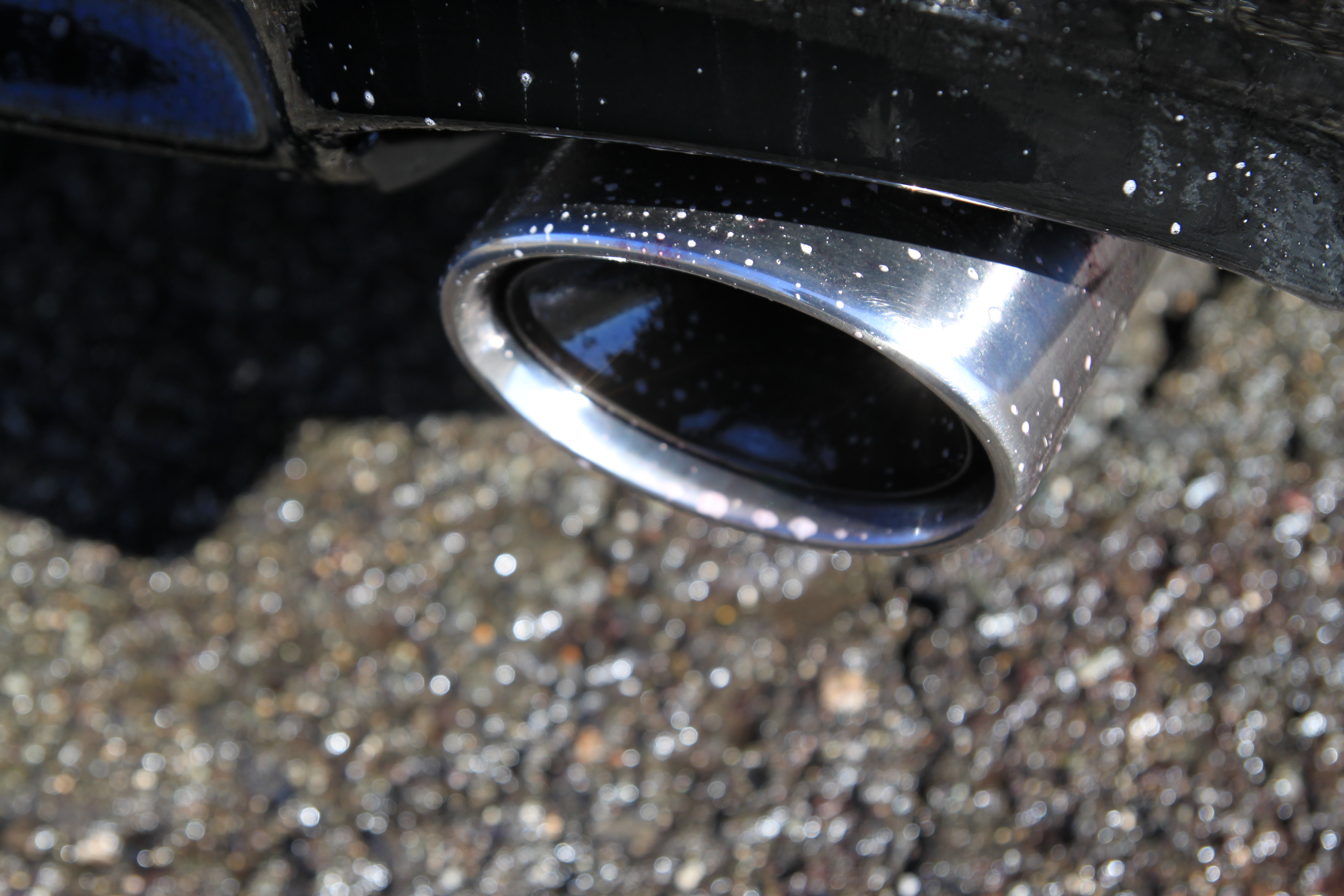 Name:  IMG_9791.jpg
Views: 157
Size:  4.49 MB