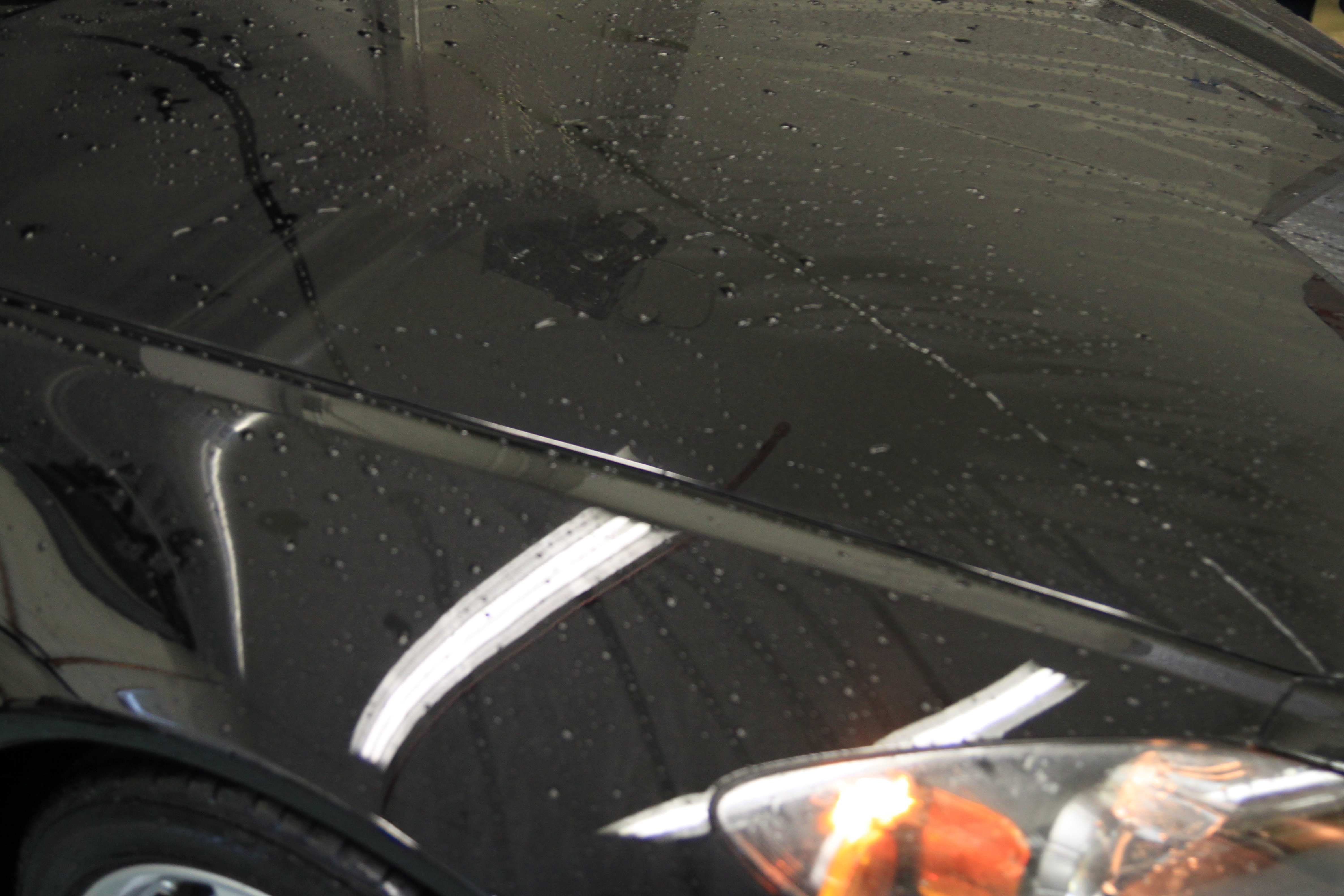 Name:  IMG_9836.jpg
Views: 93
Size:  5.37 MB