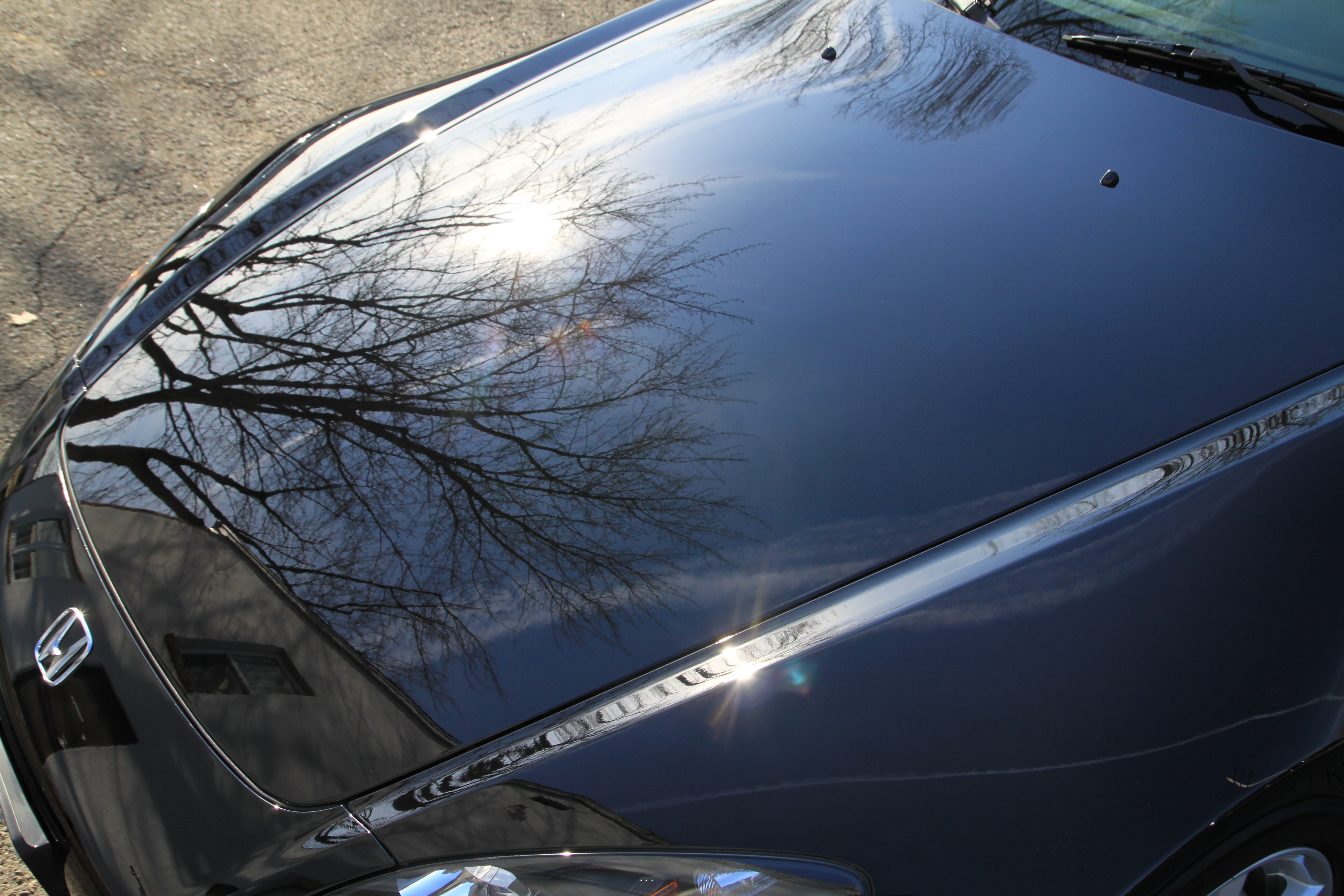 Name:  IMG_9857.jpg
Views: 132
Size:  5.44 MB