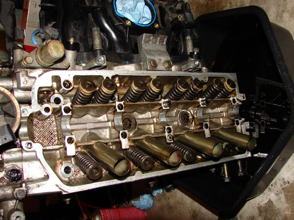 Name: CopiedeDSC09595.jpg
Views: 46558
Size: 178.4 KB