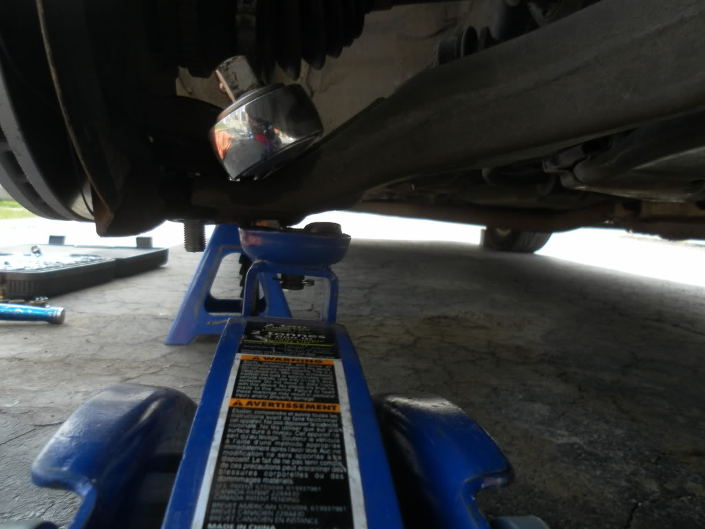 Name:  SAM_6787.jpg
Views: 18904
Size:  77.1 KB