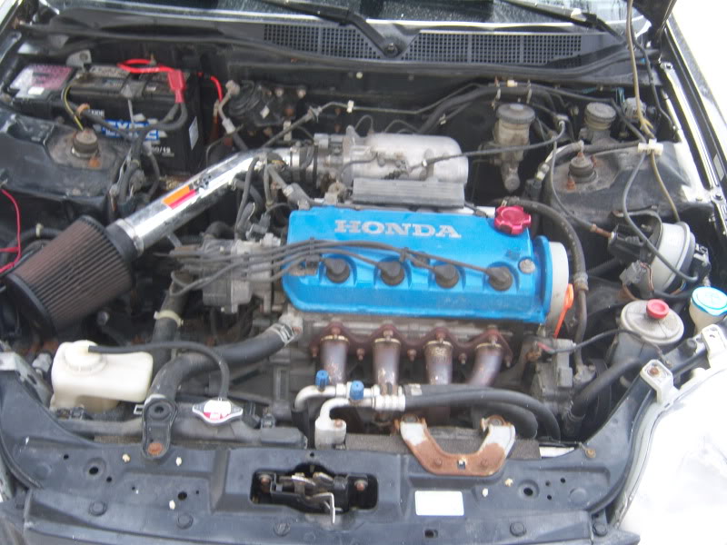 Name:  100_1039.jpg
Views: 10
Size:  93.4 KB