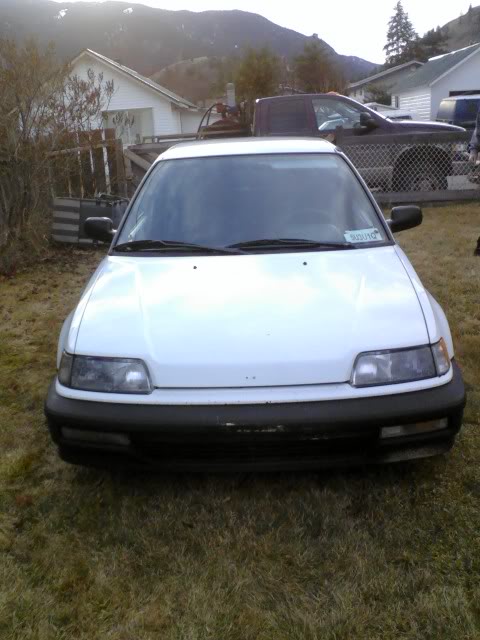 Name:  Picture39.jpg
Views: 27
Size:  52.5 KB