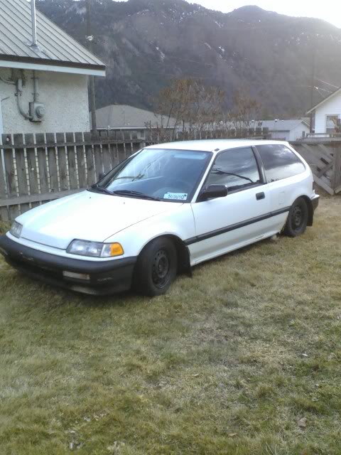 Name:  Picture45-1.jpg
Views: 59
Size:  64.6 KB