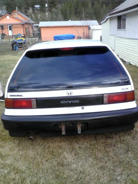 Name:  Picture41-1.jpg
Views: 22
Size:  66.1 KB