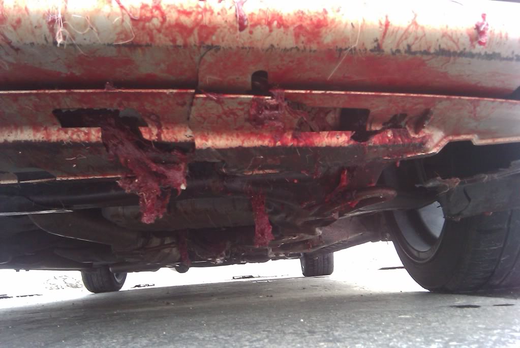 Name:  IMAG0023.jpg
Views: 116
Size:  79.0 KB