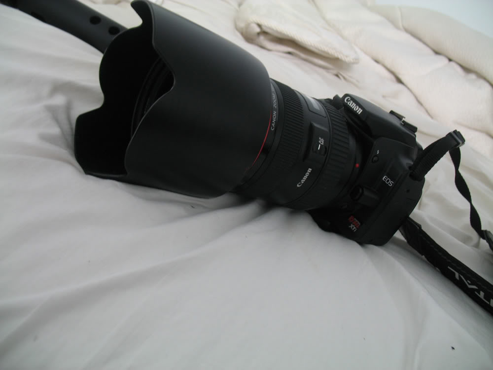 Name:  teaser03.jpg
Views: 611
Size:  53.2 KB