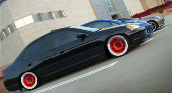 Name:  flucrat.jpg
Views: 103
Size:  35.3 KB