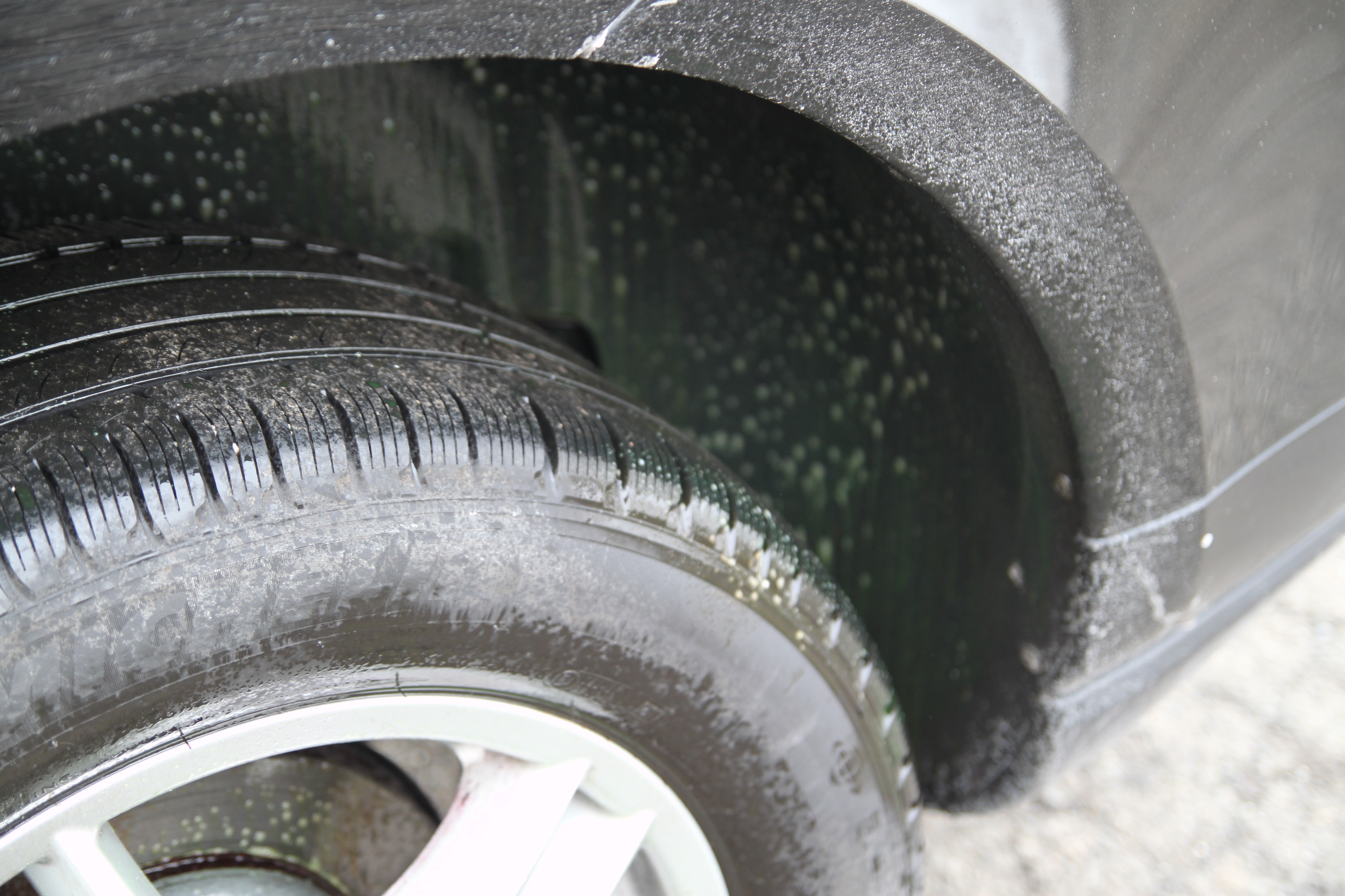 Name:  IMG_9211.jpg
Views: 17
Size:  4.91 MB