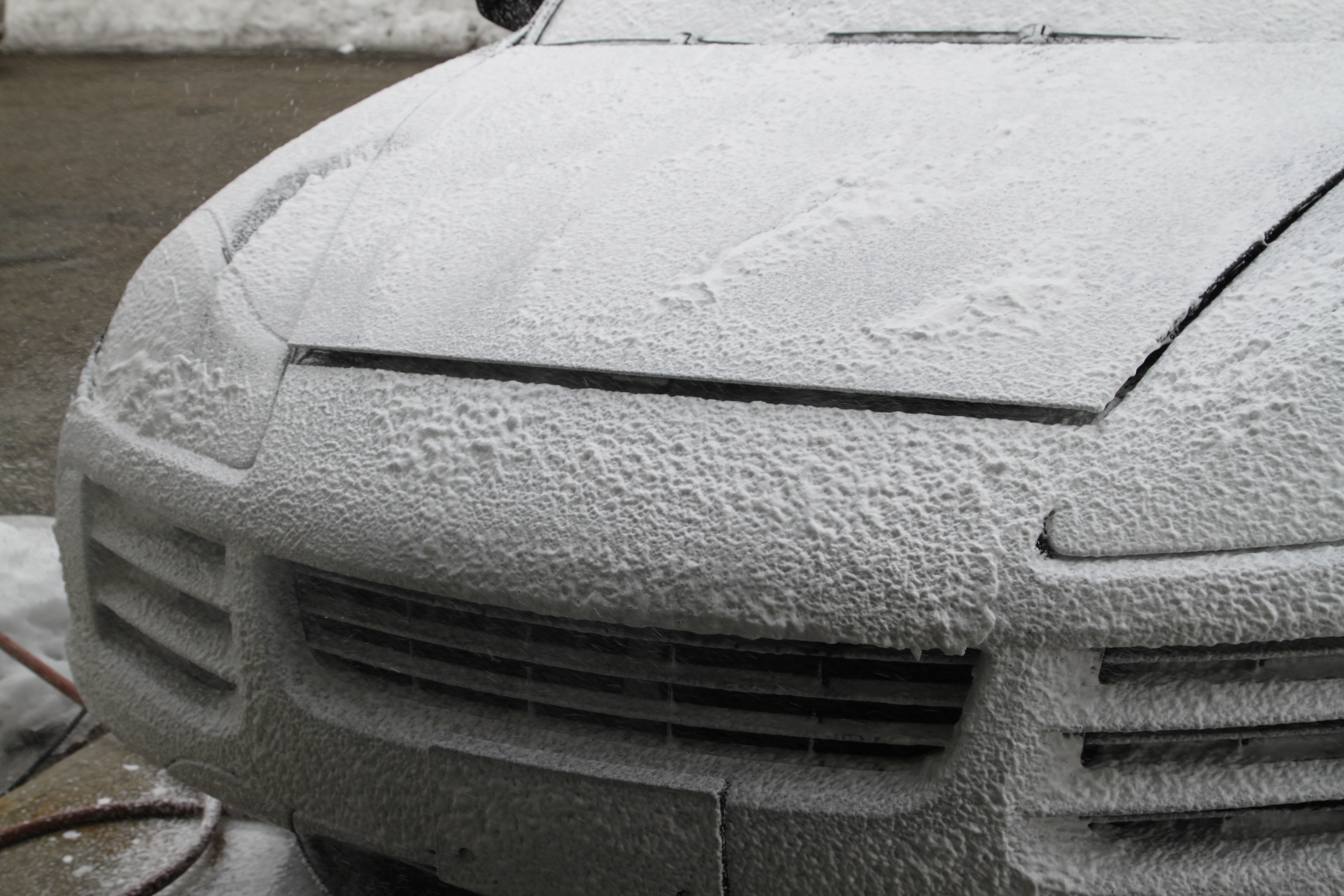 Name:  IMG_9222.jpg
Views: 21
Size:  4.60 MB