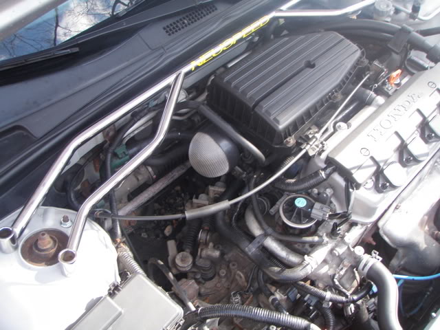 Name:  P2180733.jpg
Views: 148
Size:  75.3 KB