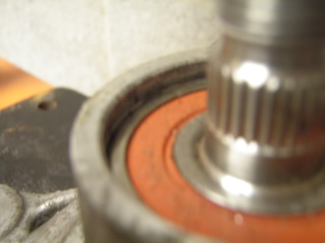 Name:  P2190769.jpg
Views: 5084
Size:  27.2 KB