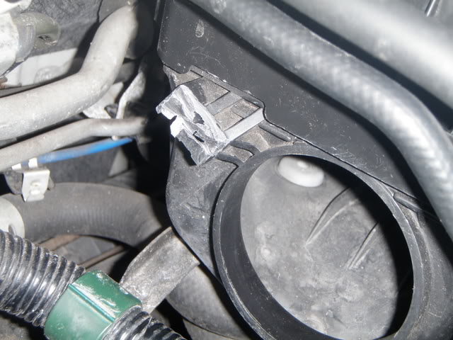 Name:  P2160711.jpg
Views: 1289
Size:  65.4 KB