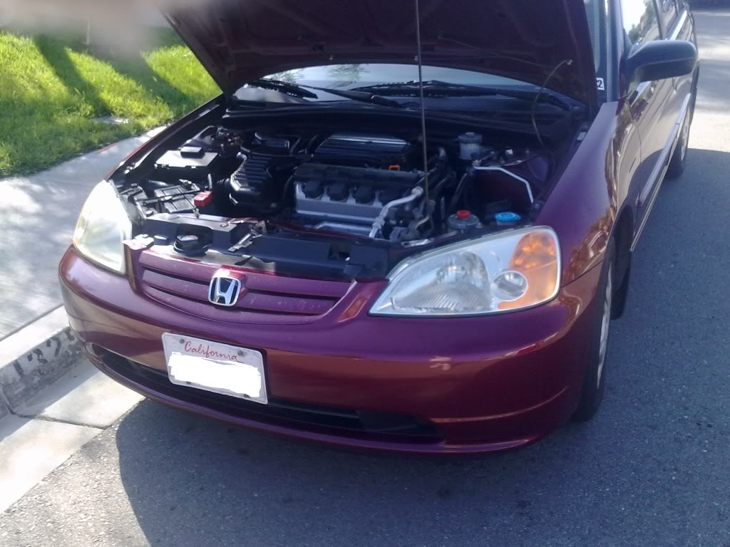 Name:  10022010057-1.jpg
Views: 20
Size:  121.4 KB