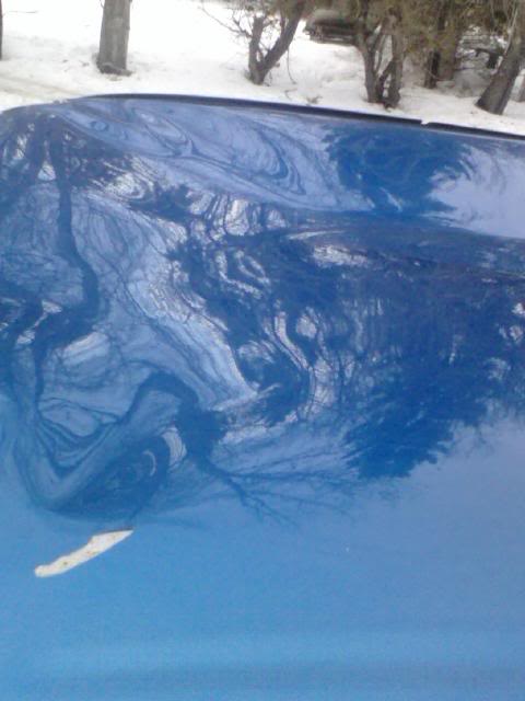 Name:  020411_170300.jpg
Views: 1451
Size:  33.8 KB