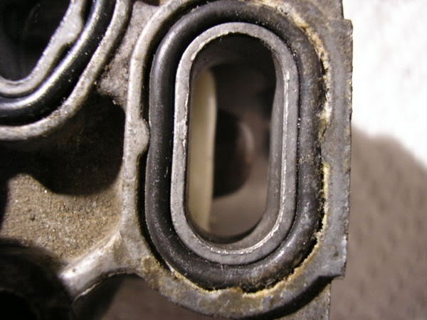 Name:  fitv19.jpg
Views: 952
Size:  42.7 KB