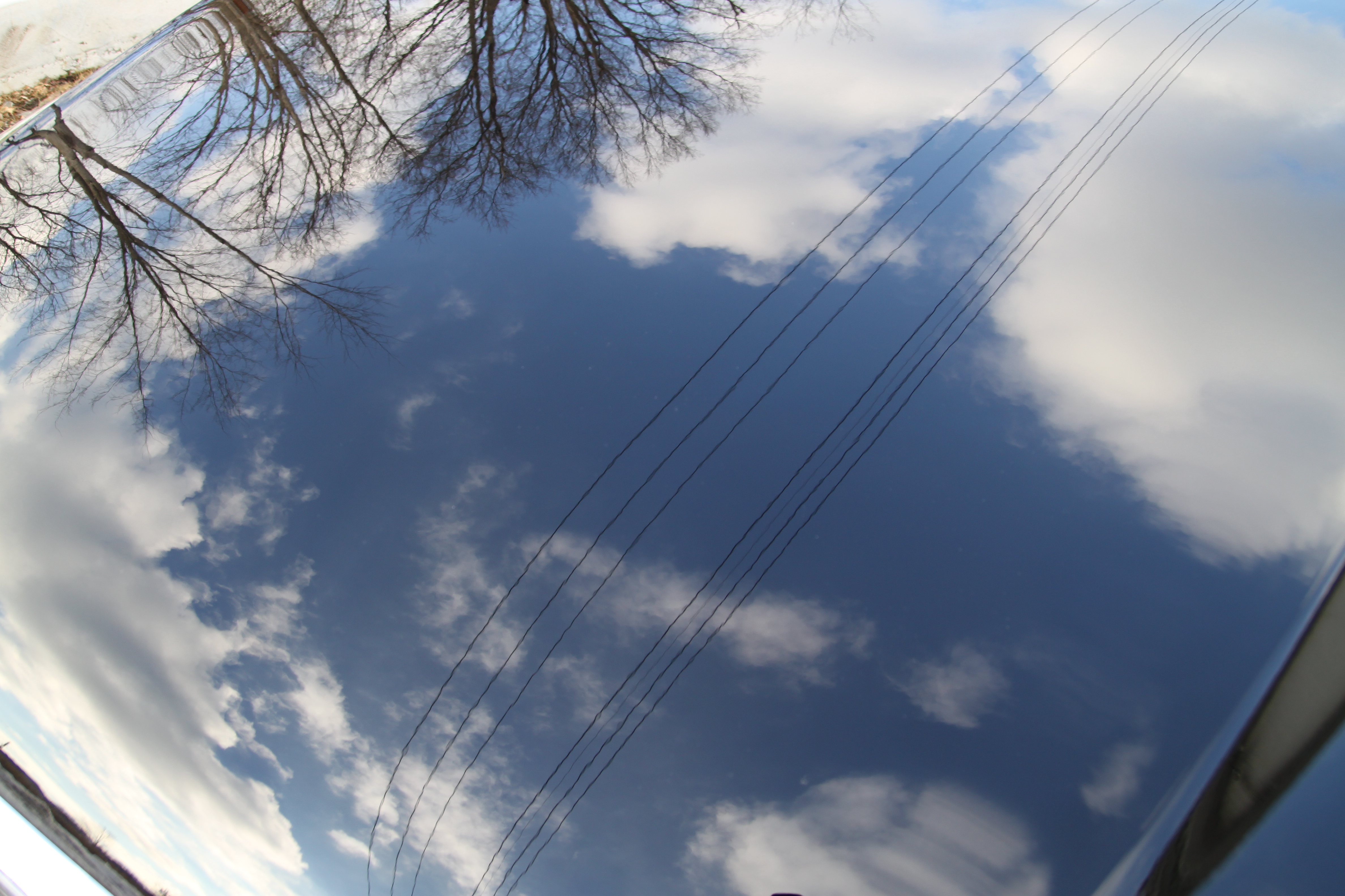 Name:  IMG_9163.jpg
Views: 16
Size:  4.54 MB