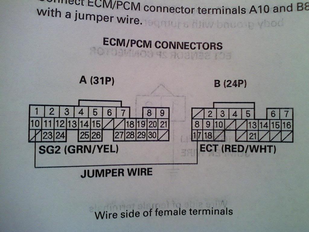 Name:  ecmconnectors.jpg
Views: 6656
Size:  80.8 KB