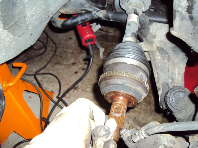 Name: DSC03505.jpg
Views: 753
Size: 69.7 KB