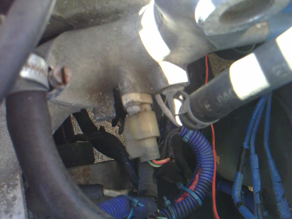 Name:  drewsmotor2.jpg
Views: 21
Size:  70.4 KB