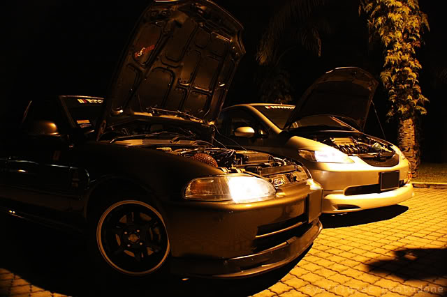 Name:  IMG_6418ssT.jpg
Views: 359
Size:  62.7 KB