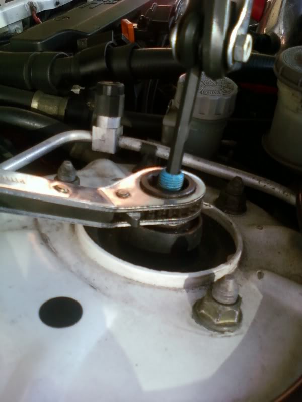 Name:  SSPX0468.jpg
Views: 2287
Size:  45.9 KB