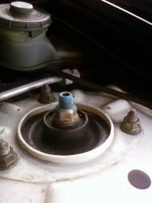 Name:  SSPX0467.jpg
Views: 2307
Size:  40.0 KB