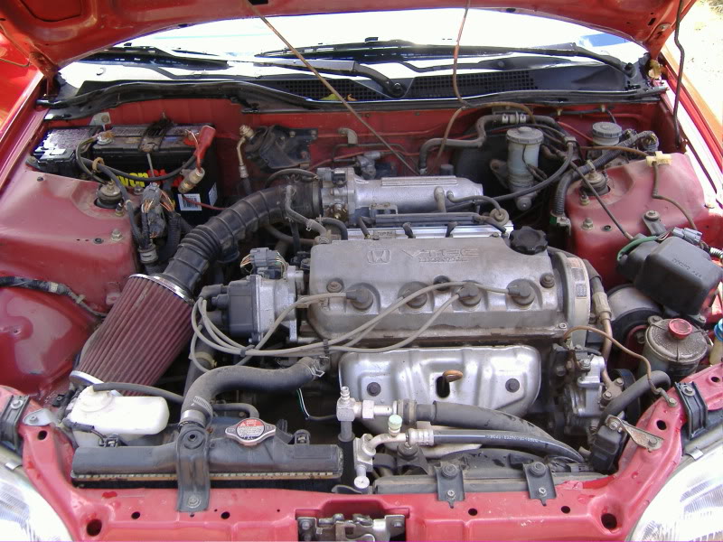 Name:  DSCF0348.jpg
Views: 55
Size:  123.2 KB