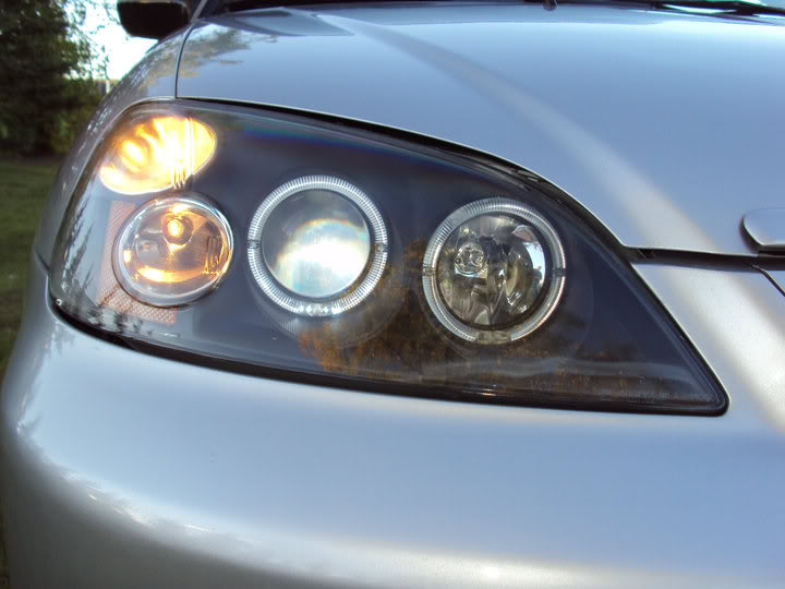 Name:  Halos.jpg
Views: 54
Size:  51.3 KB