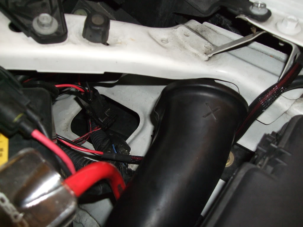 Name:  DSCF9560.jpg
Views: 87
Size:  100.0 KB