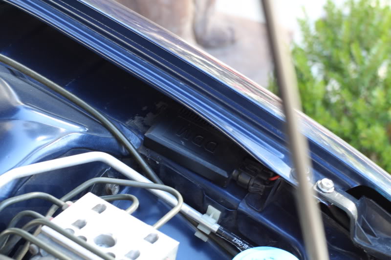 Name:  IMG_1019.jpg
Views: 94
Size:  102.5 KB