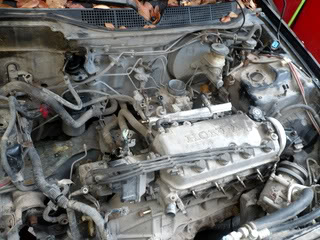 Name:  P1020855.jpg
Views: 18
Size:  30.9 KB
