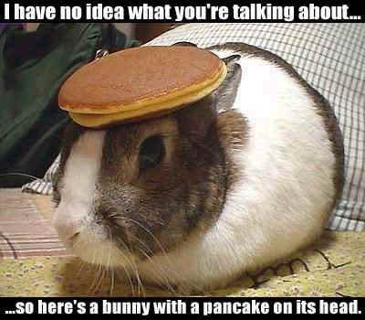 Name:  2008_03_28_bunny_pancake.jpg
Views: 45
Size:  26.2 KB