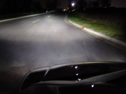 Name:  catzhidgroundshot.jpg
Views: 29
Size:  16.5 KB