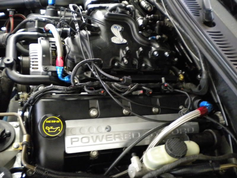 Name:  DSCN0032.jpg
Views: 626
Size:  130.4 KB