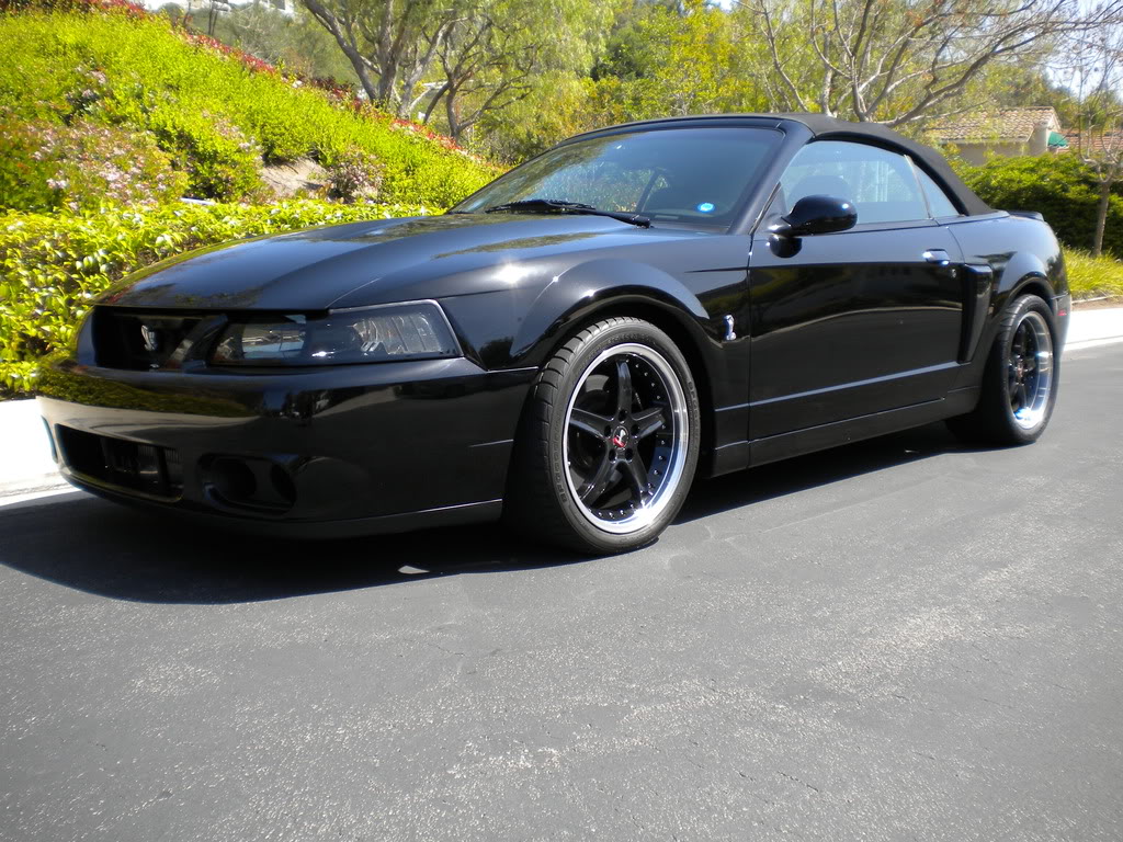 Name:  DSCN0301.jpg
Views: 672
Size:  251.4 KB