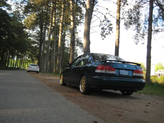 Name:  picture037.jpg
Views: 338
Size:  84.6 KB