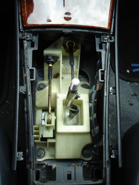 Name:  July2010001.jpg
Views: 152
Size:  68.6 KB