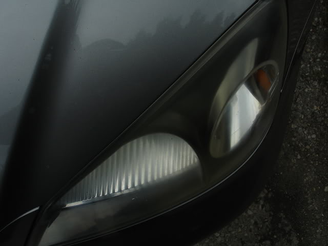Name:  June2010046.jpg
Views: 101
Size:  37.0 KB