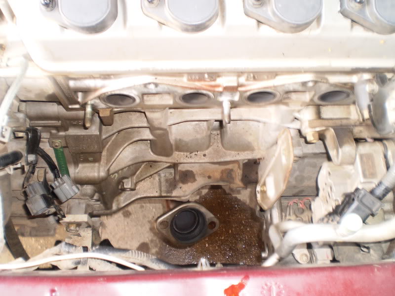 Name:  P5040074.jpg
Views: 1441
Size:  88.1 KB